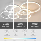 Dimbare LED Plafondlamp – Modern Design (Zwart/Goud/Wit)